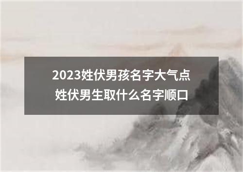 2023姓伏男孩名字大气点 姓伏男生取什么名字顺口