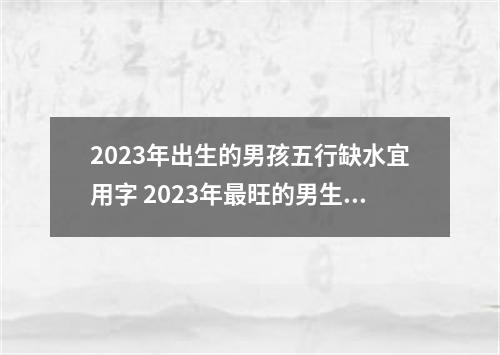 2023年出生的男孩五行缺水宜用字 2023年最旺的男生名字