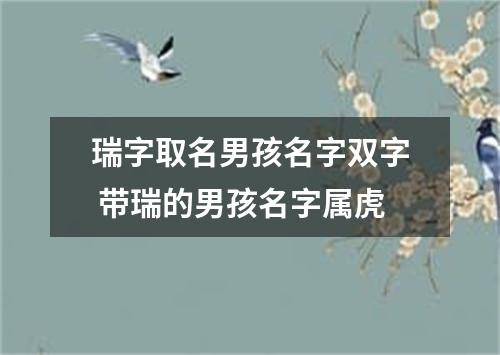 瑞字取名男孩名字双字 带瑞的男孩名字属虎
