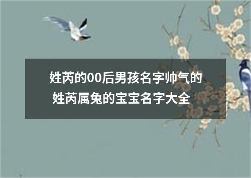 姓芮的00后男孩名字帅气的 姓芮属兔的宝宝名字大全