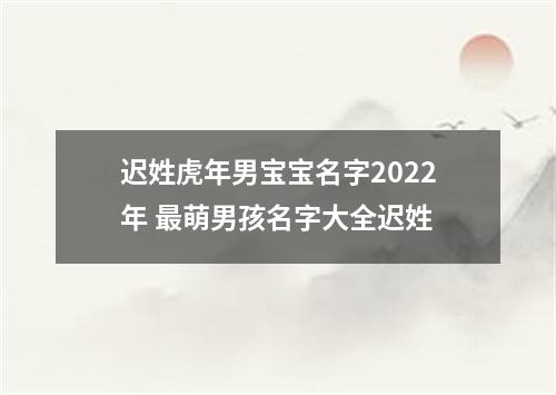 迟姓虎年男宝宝名字2022年 最萌男孩名字大全迟姓