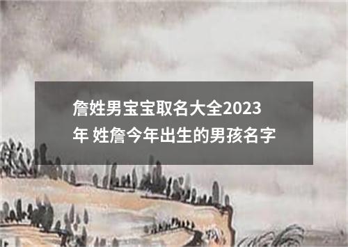 詹姓男宝宝取名大全2023年 姓詹今年出生的男孩名字