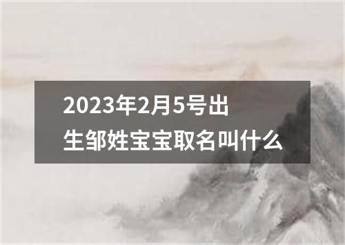 2023年2月5号出生邹姓宝宝取名叫什么