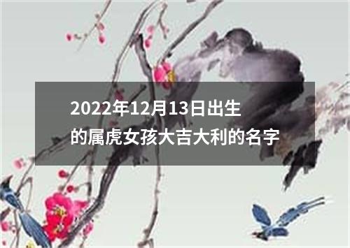 2022年12月13日出生的属虎女孩大吉大利的名字