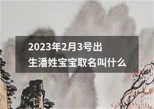 2023年2月3号出生潘姓宝宝取名叫什么