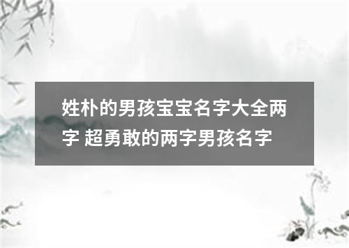 姓朴的男孩宝宝名字大全两字 超勇敢的两字男孩名字