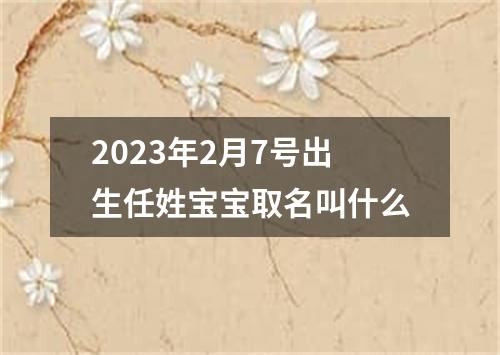 2023年2月7号出生任姓宝宝取名叫什么
