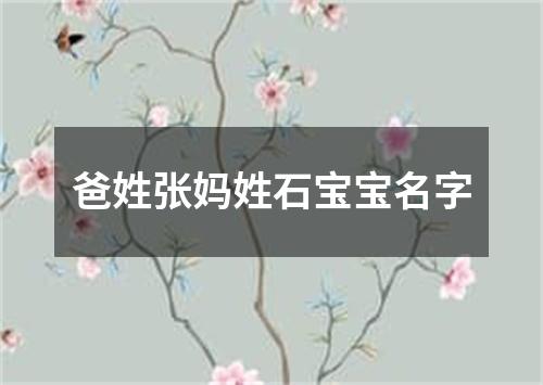 爸姓张妈姓石宝宝名字