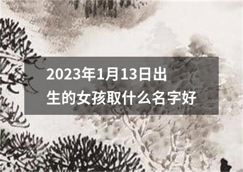 2023年1月13日出生的女孩取什么名字好