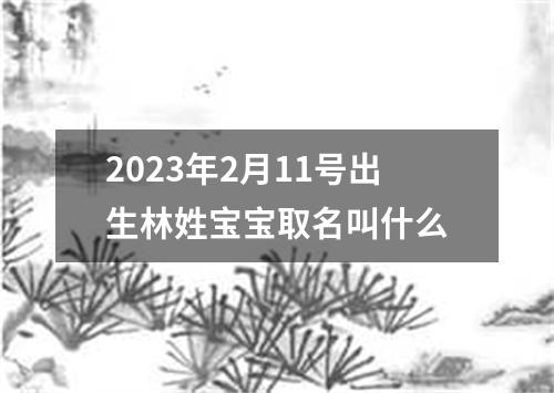 2023年2月11号出生林姓宝宝取名叫什么