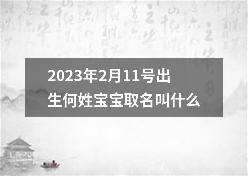 2023年2月11号出生何姓宝宝取名叫什么