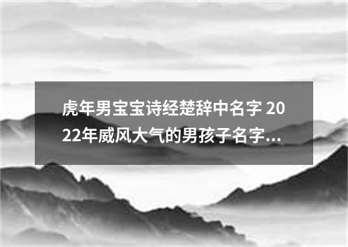 虎年男宝宝诗经楚辞中名字 2022年威风大气的男孩子名字合集
