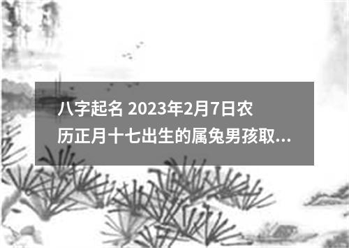 八字起名 2023年2月7日农历正月十七出生的属兔男孩取名推荐