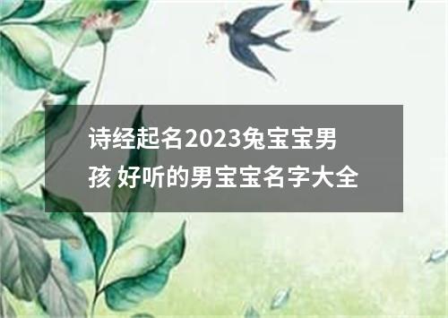 诗经起名2023兔宝宝男孩 好听的男宝宝名字大全