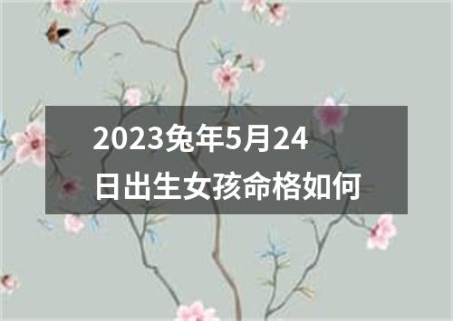 2023兔年5月24日出生女孩命格如何