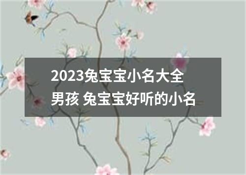 2023兔宝宝小名大全男孩 兔宝宝好听的小名
