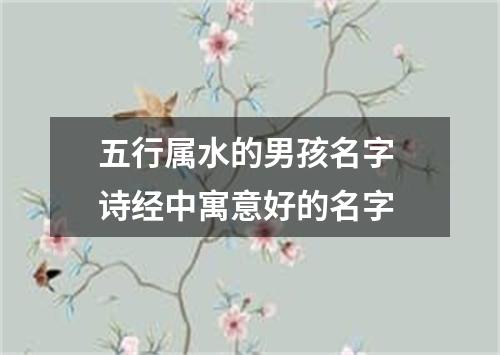 五行属水的男孩名字 诗经中寓意好的名字