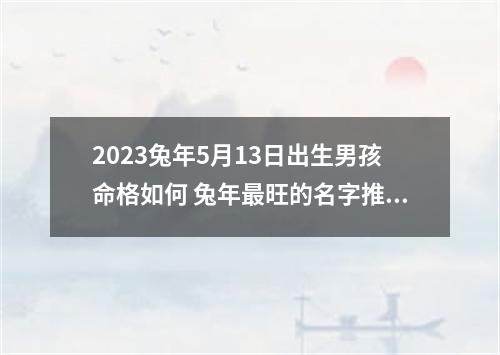 2023兔年5月13日出生男孩命格如何 兔年最旺的名字推荐