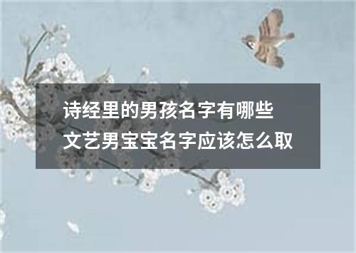 诗经里的男孩名字有哪些 文艺男宝宝名字应该怎么取