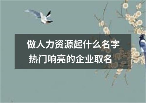 做人力资源起什么名字 热门响亮的企业取名