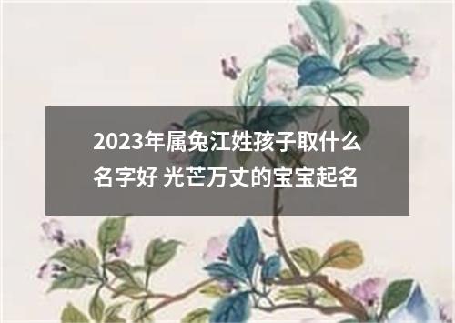 2023年属兔江姓孩子取什么名字好 光芒万丈的宝宝起名