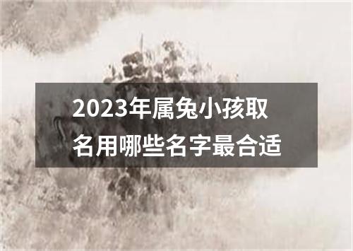 2023年属兔小孩取名用哪些名字最合适