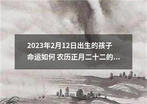 2023年2月12日出生的孩子命运如何 农历正月二十二的宝宝八字起名