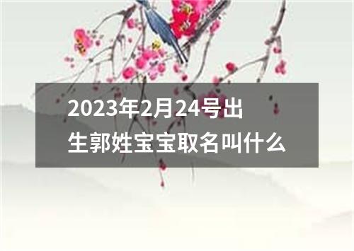 2023年2月24号出生郭姓宝宝取名叫什么