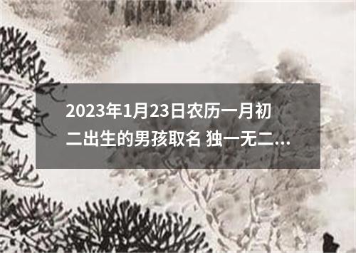 2023年1月23日农历一月初二出生的男孩取名 独一无二的男生好名