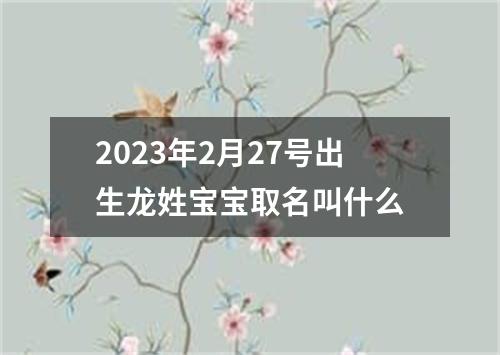 2023年2月27号出生龙姓宝宝取名叫什么
