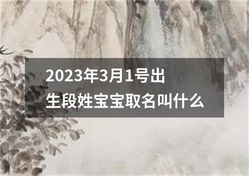 2023年3月1号出生段姓宝宝取名叫什么