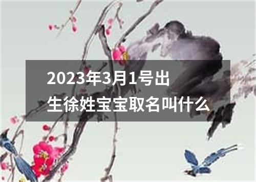 2023年3月1号出生徐姓宝宝取名叫什么