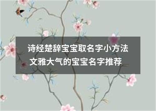 诗经楚辞宝宝取名字小方法 文雅大气的宝宝名字推荐