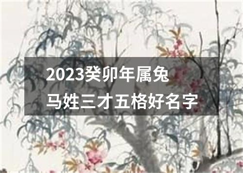 2023癸卯年属兔马姓三才五格好名字