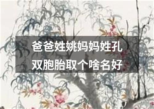 爸爸姓姚妈妈姓孔双胞胎取个啥名好