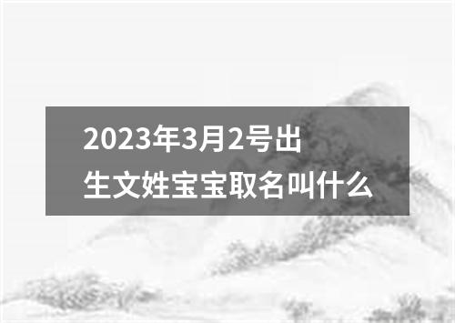 2023年3月2号出生文姓宝宝取名叫什么