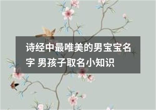 诗经中最唯美的男宝宝名字 男孩子取名小知识