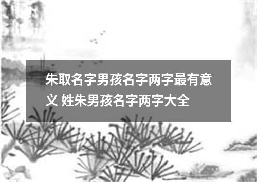 朱取名字男孩名字两字最有意义 姓朱男孩名字两字大全