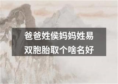 爸爸姓侯妈妈姓易双胞胎取个啥名好