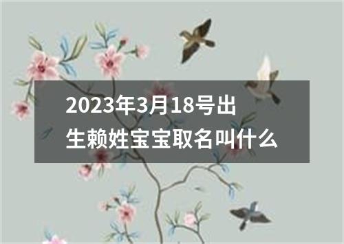 2023年3月18号出生赖姓宝宝取名叫什么