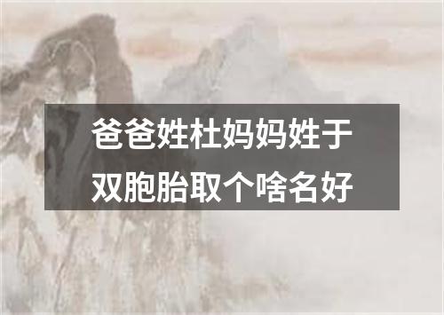 爸爸姓杜妈妈姓于双胞胎取个啥名好