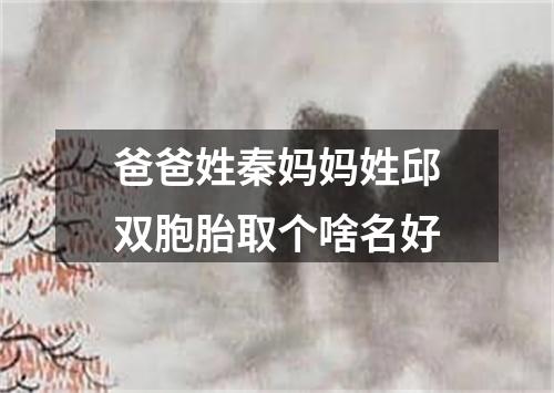 爸爸姓秦妈妈姓邱双胞胎取个啥名好