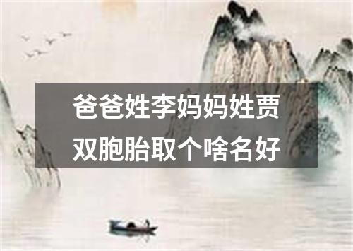 爸爸姓李妈妈姓贾双胞胎取个啥名好