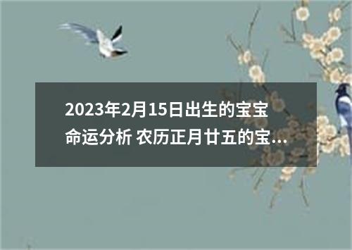 2023年2月15日出生的宝宝命运分析 农历正月廿五的宝宝八字起名字