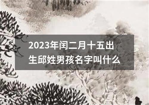 2023年闰二月十五出生邱姓男孩名字叫什么
