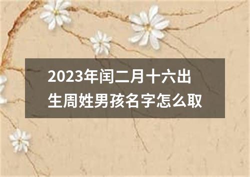2023年闰二月十六出生周姓男孩名字怎么取