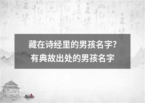 藏在诗经里的男孩名字? 有典故出处的男孩名字