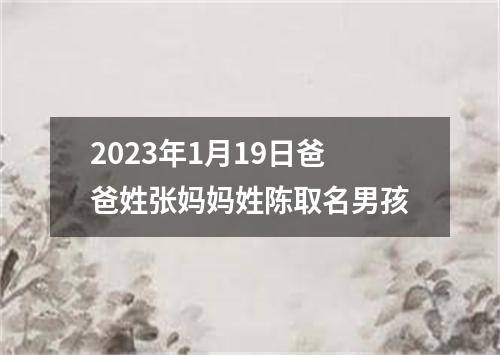 2023年1月19日爸爸姓张妈妈姓陈取名男孩
