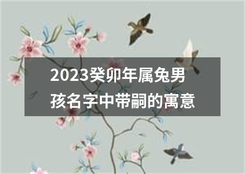 2023癸卯年属兔男孩名字中带嗣的寓意