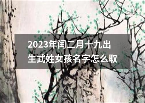 2023年闰二月十九出生武姓女孩名字怎么取